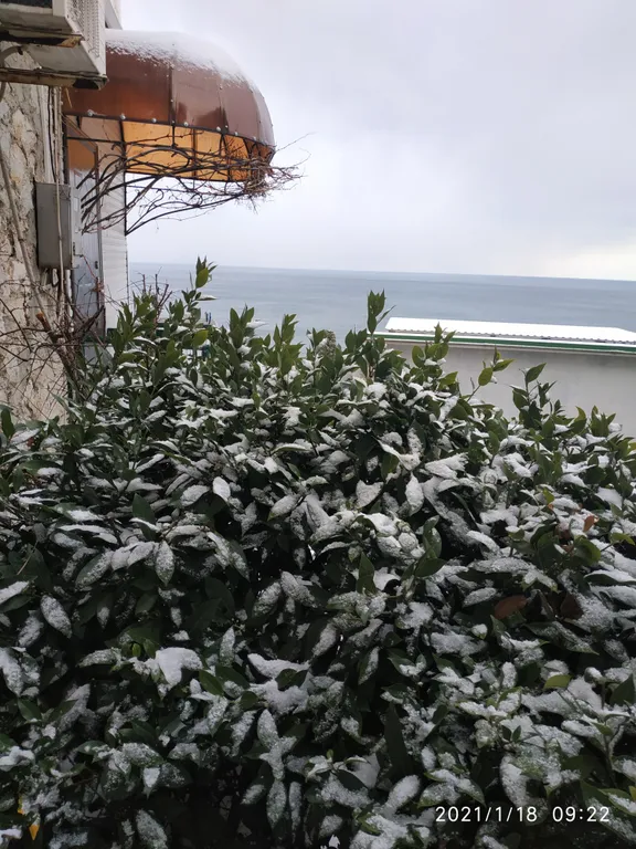 Уютная квартира с дивным видом на море