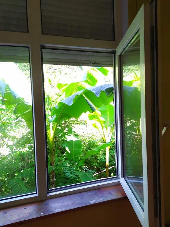 Комната у моря