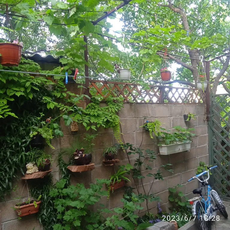 3-комнатный Дом