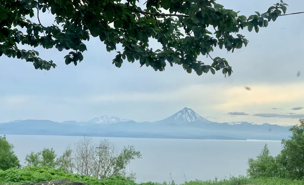 Апартаменты в деловом центре города