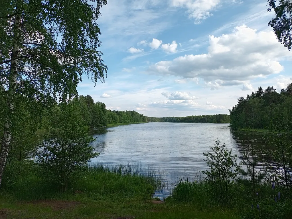 Дом с бесплатной баней на 1 линии от реки