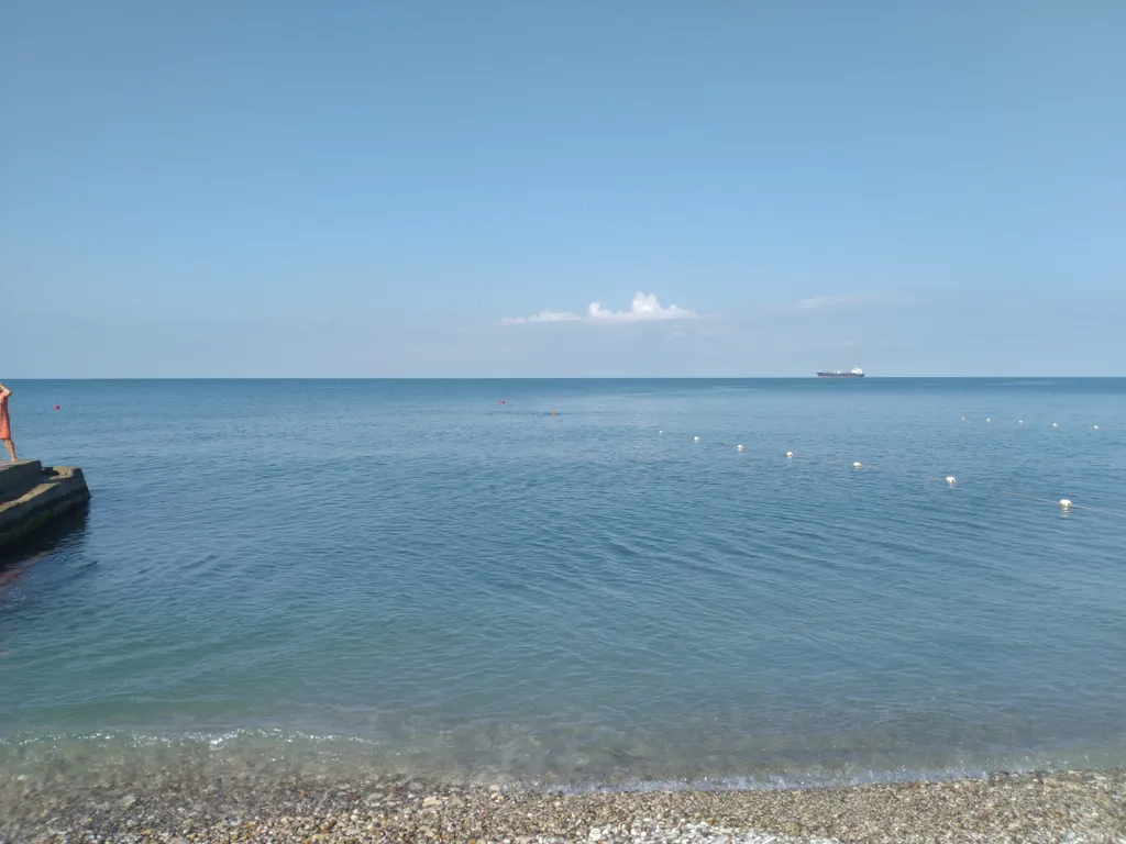 Бревенчатый дом 2 в лесу с бассейном