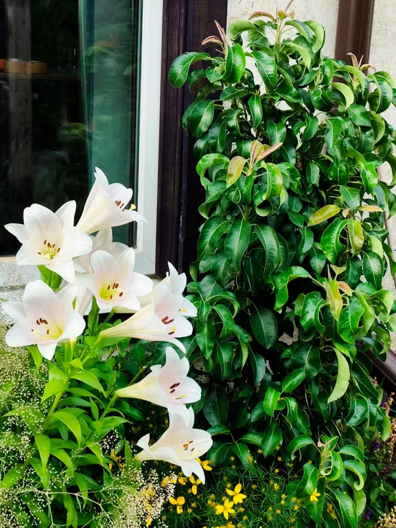 Коттедж Удивительный дом, своя ванная комната и вход с улицы — Казань