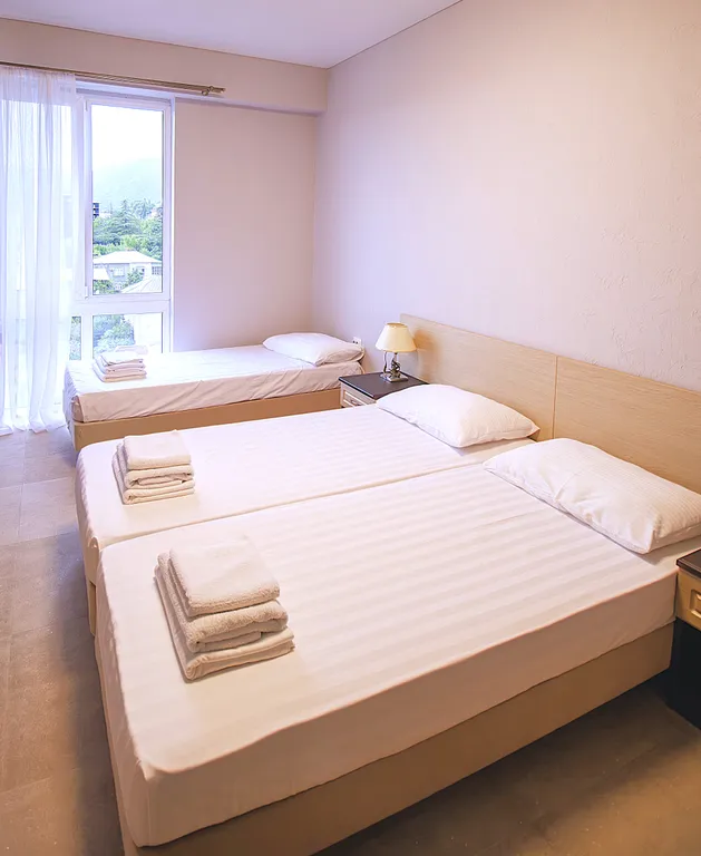 Квартира Квартира Просторный двухместный номер — Гагра