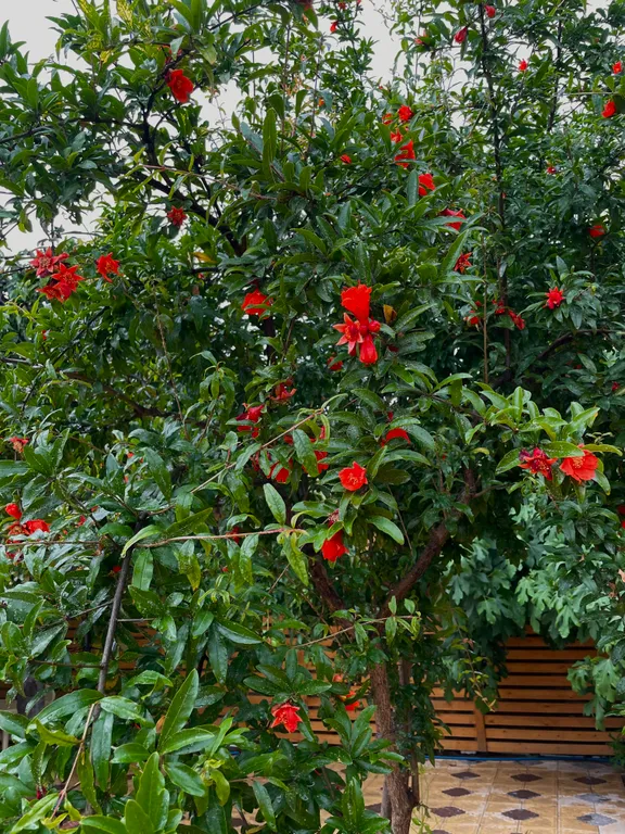 Коттедж Дом напротив крепостной стены — Дербент