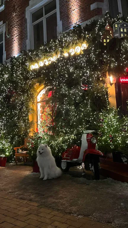 Квартира Апартамент на берегу Балтийского моря — Зеленоградск