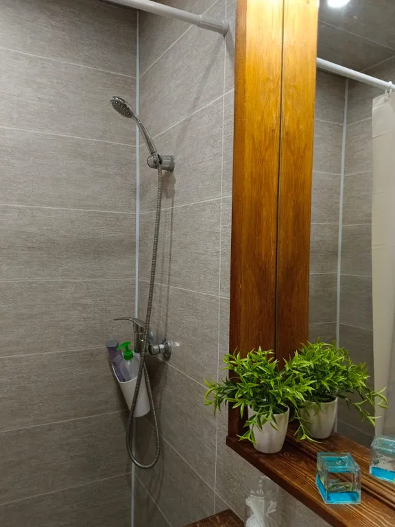 Чудо-дача, дом Акула на берегу пруда