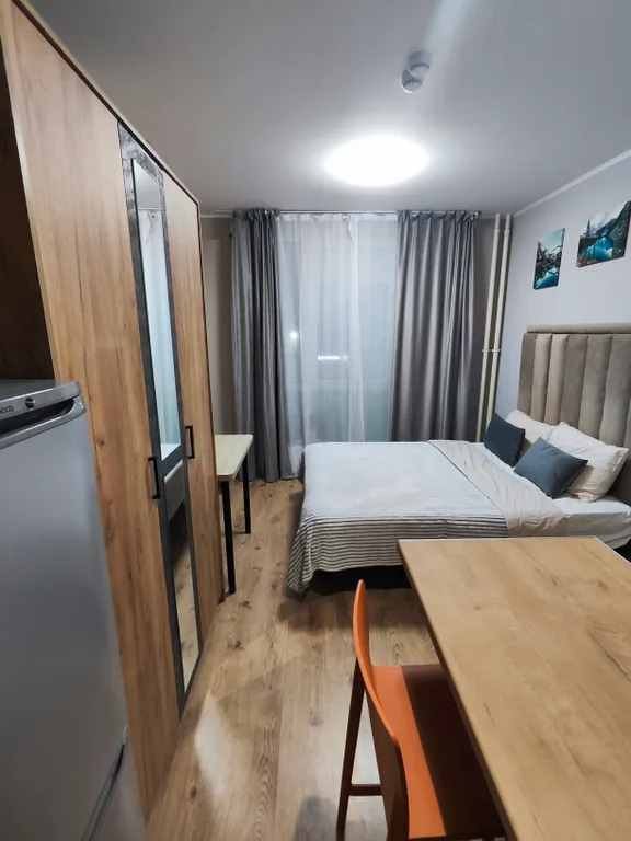 Студия у метро Парнас