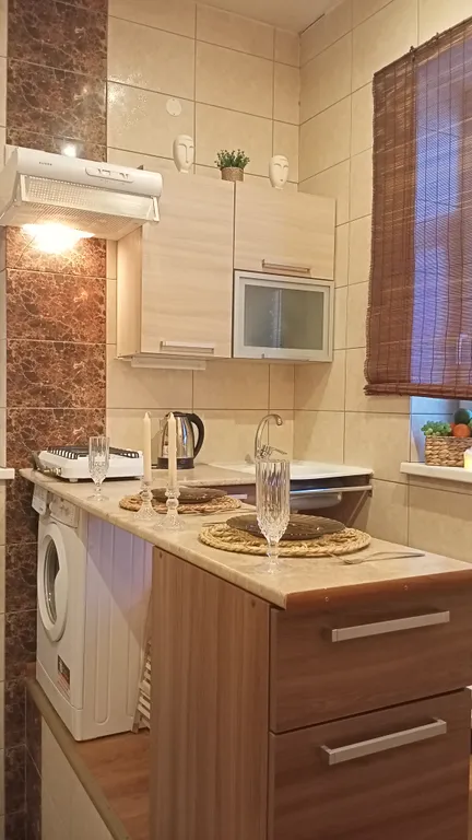 Квартира с видом на берег озера с лебедями, в историческом центре