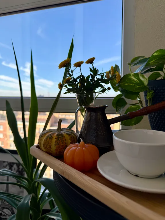 Стильная видовая студия в центре города