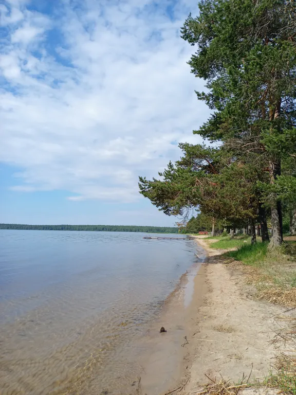 Дом у леса недалеко от песчаного пляжа