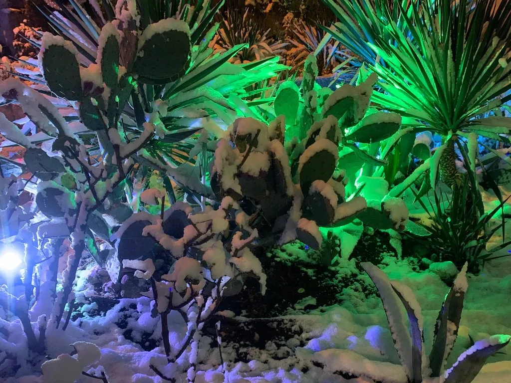 MilayDom-2-х этажный 2-х комнатный дом с вашей придомовой территорией