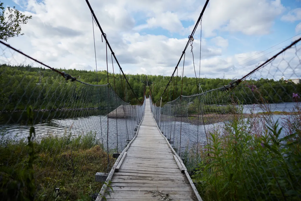 Современный дом в сосновом лесу