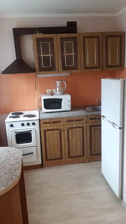 Просторная двухкомнатная квартира в ретро-стиле в центре города