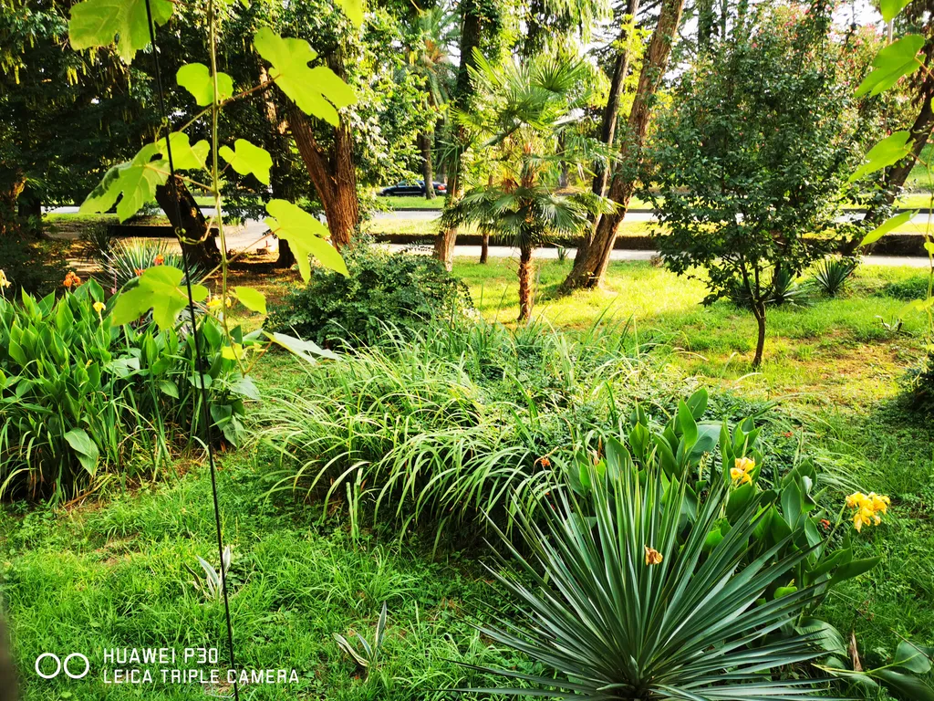 Квартира Апартаменты на Турбазе — Сухум