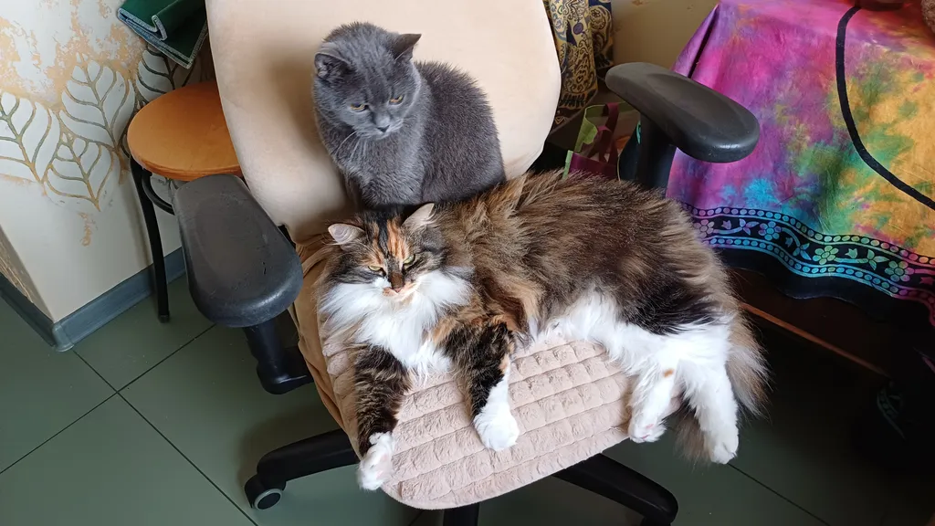 Квартира Квартира Уголок мечтателя (метро Проспект Славы) — Санкт-Петербург