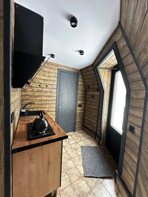 Лесной купольный дом Черника