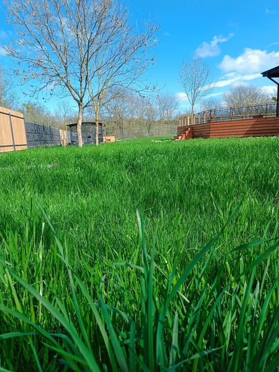 Дом с бассейном