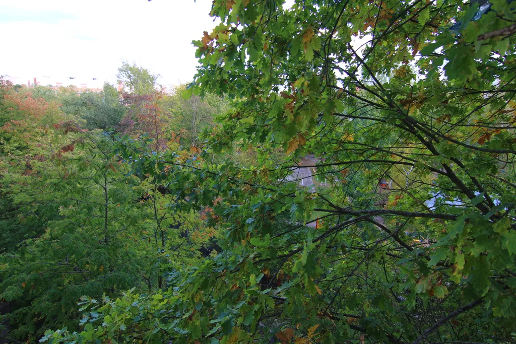 1-комнатная квартира полулюкс в спальном районе