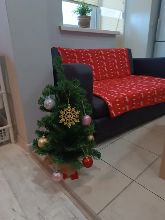 Квартира 2. Квартира-студия у парка — Лобня