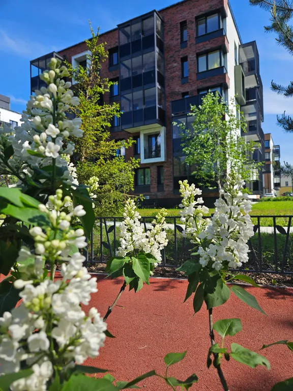 Апартамент Карельская сказка у речки в центре города