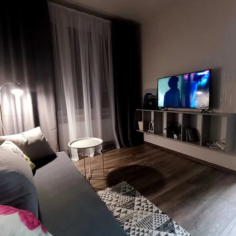 Уютная однокомнатная квартира