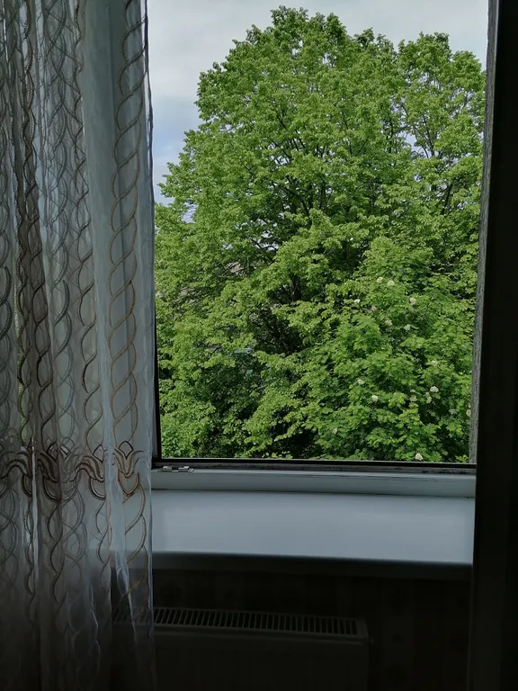 Квартира Уютная квартира в центре города — Пионерский