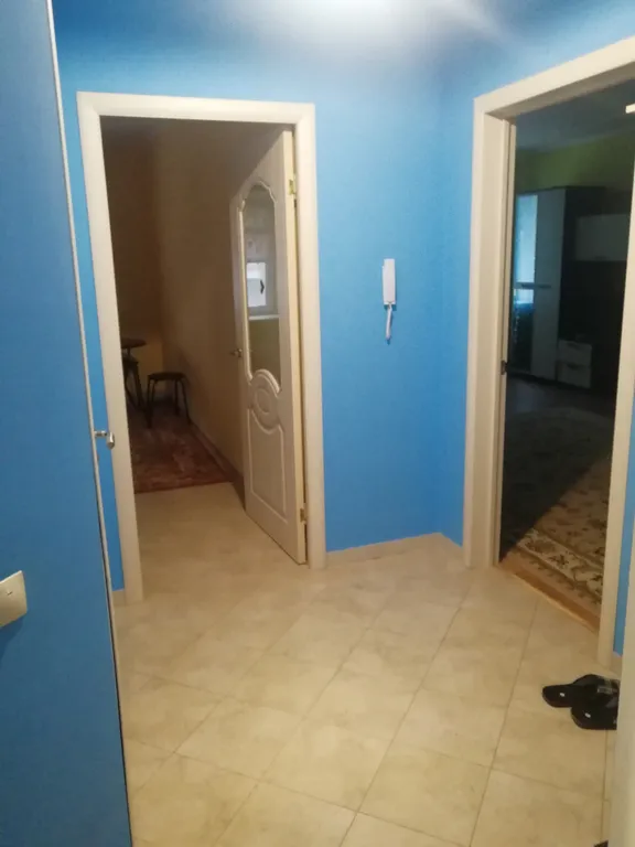 Просторная однокомнатная квартира