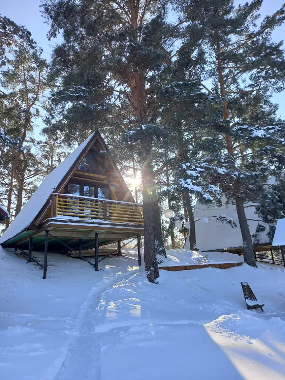 Дом под соснами