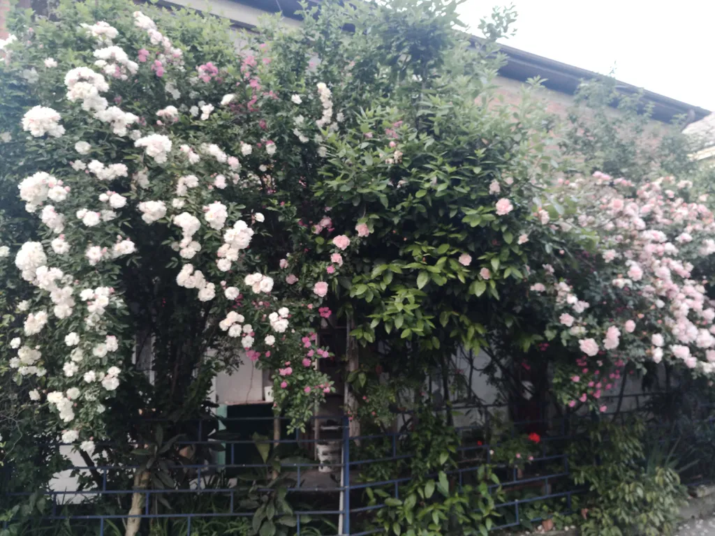 Маяк и море через дорогу