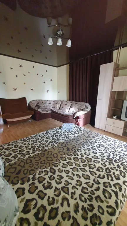 Уютная квартира