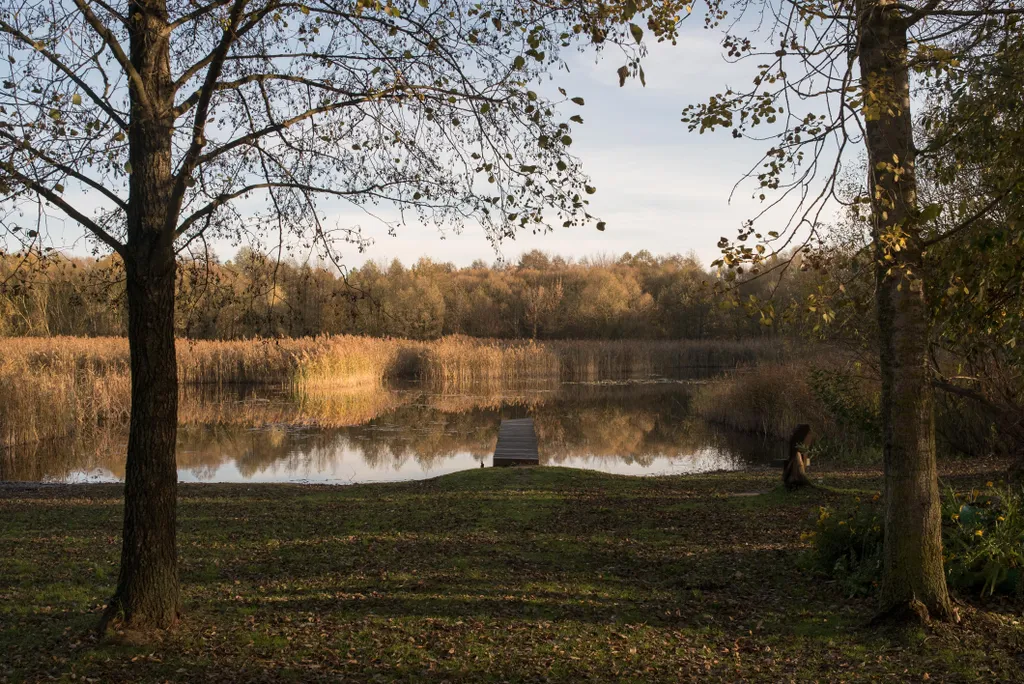 Коттедж Брестский гостевой дом danfam — аренда посуточно в Кобрин