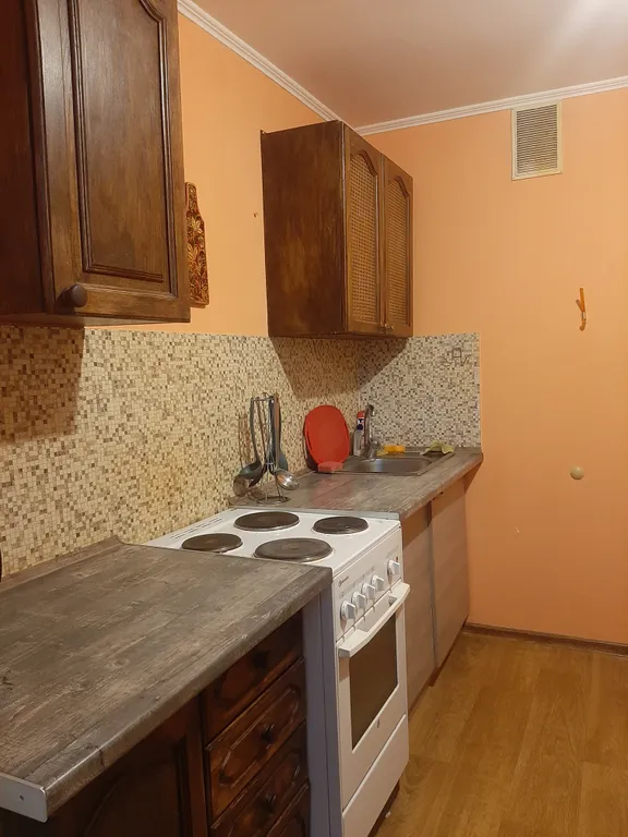 Квартира в центре города у Нижнего пруда - исторический центр