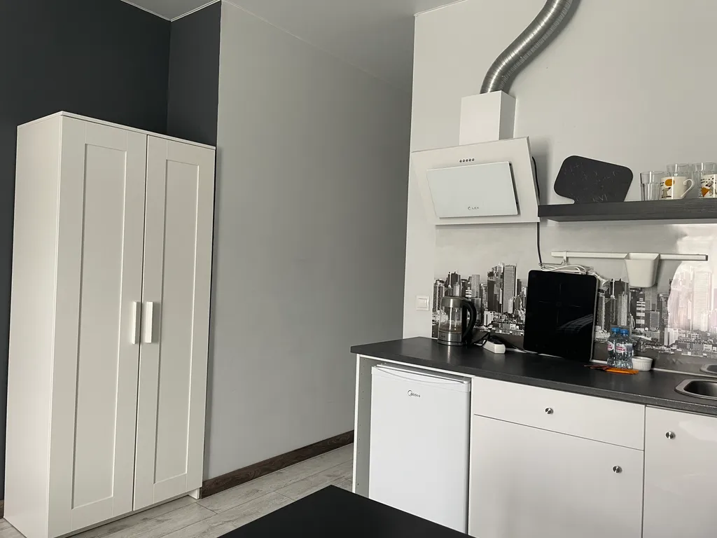 Уютная дружелюбная студия (КакДома на Ленина)