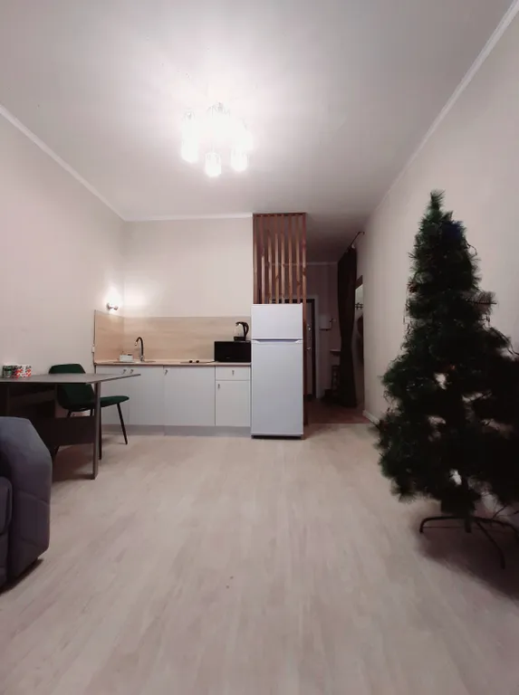 Квартира-студия в новом доме