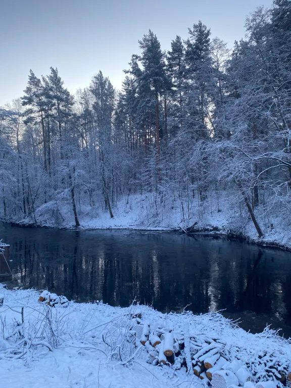 Профессорская дача