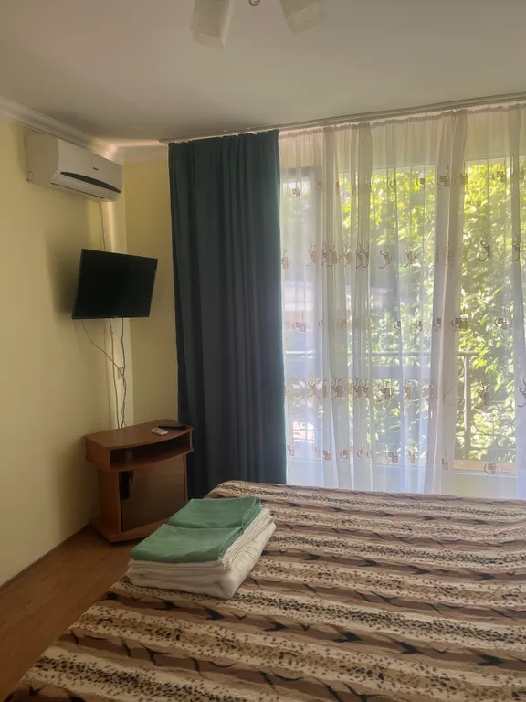 Номер с видом на хурму