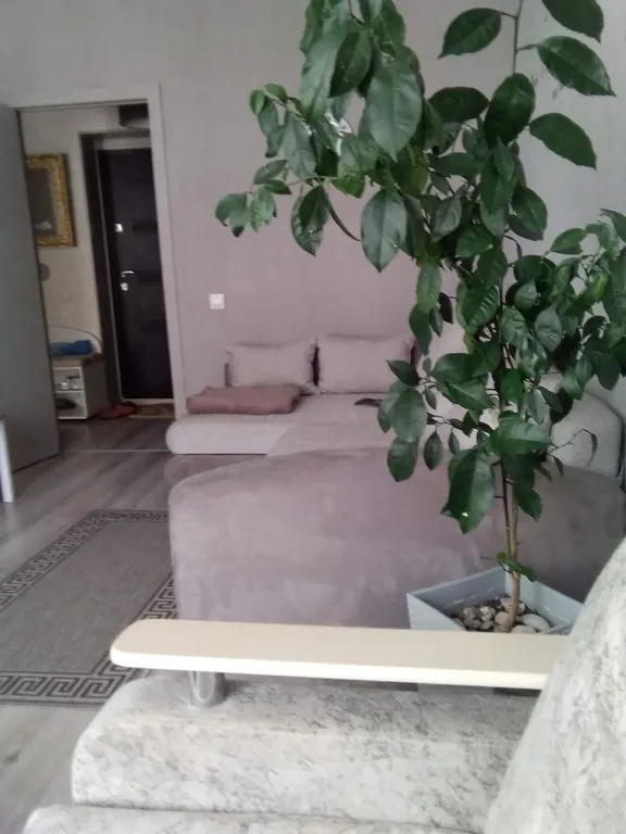 Апартаменты у моря