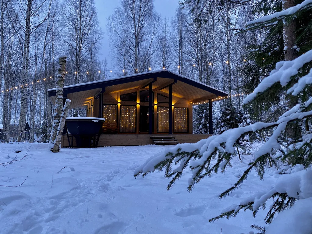 Эко-дом с панорамными окнами #1