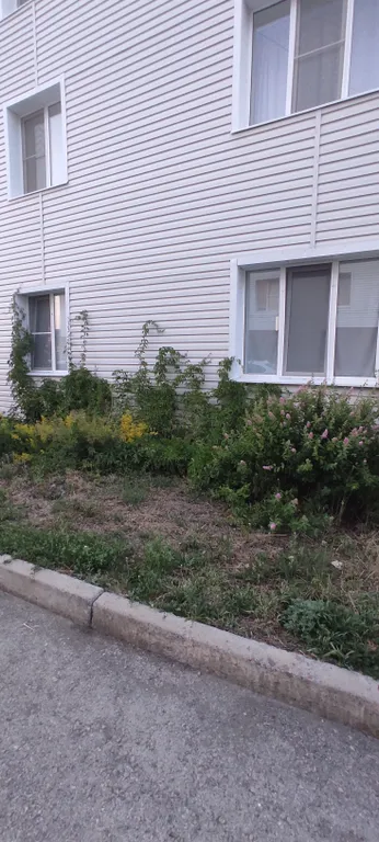 Апартаменты ЖК Алтынай