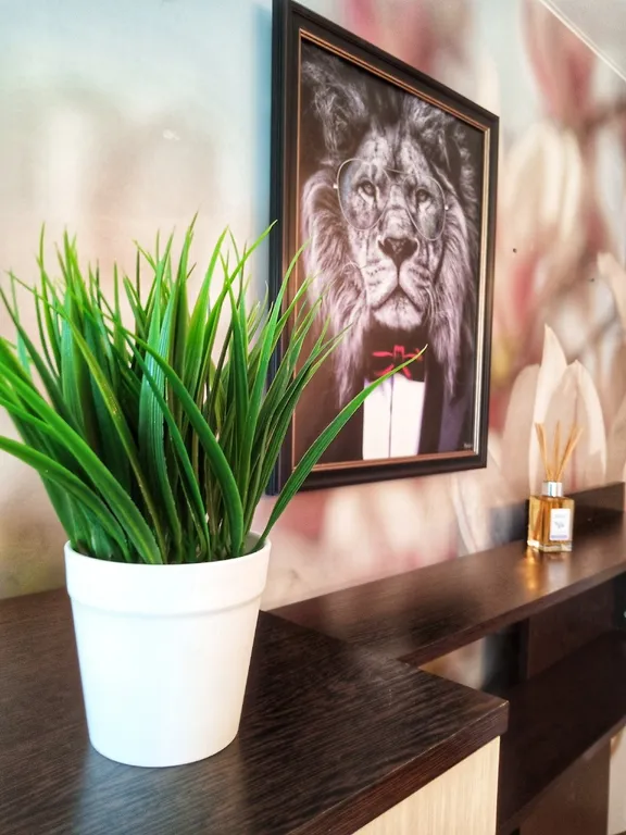 Однокомнатная квартира