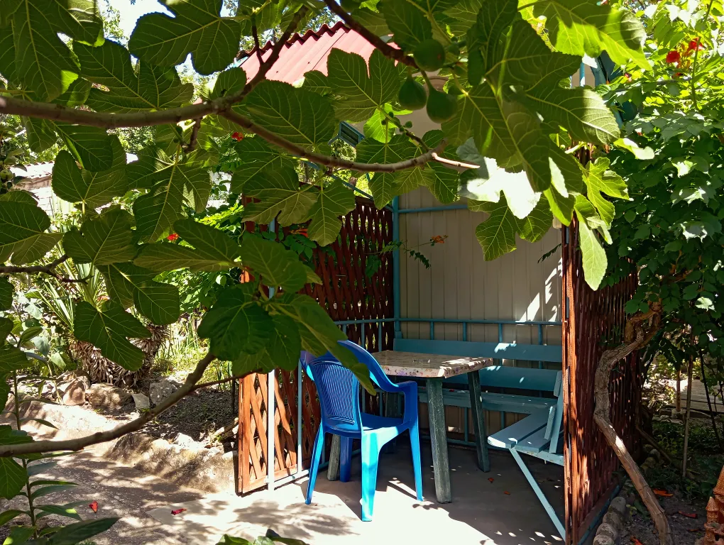 Двухкомнатный номер с беседкой