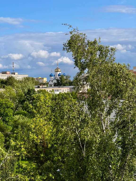 Уютная просторная квартира в центре города