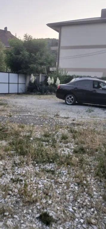 Дача Светлана