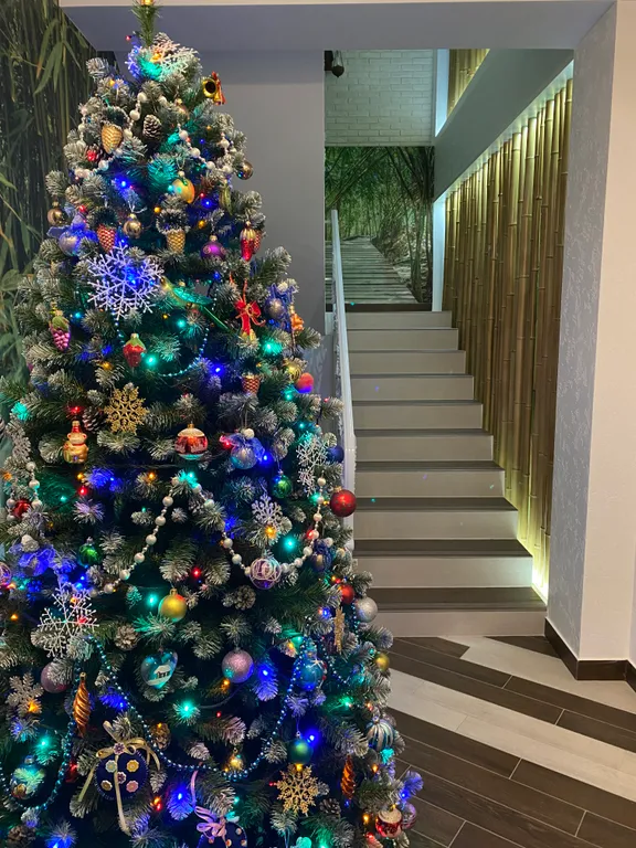 Квартира Комната — Сириус