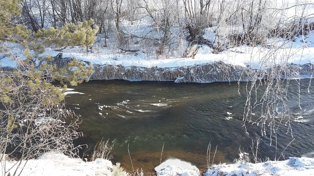 Коттедж Дом на берегу реки, в окружении леса с баней и чаном — Старово
