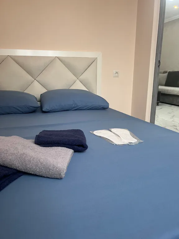 Красивая и уютная квартира в центре