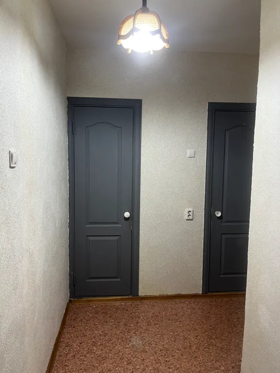 Уютная однокомнатная квартира с кондиционером