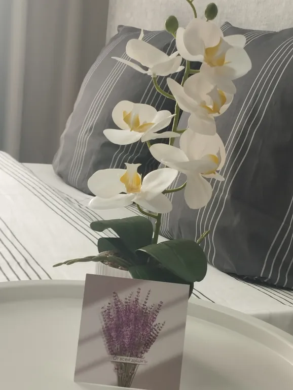 Уютная квартира возле аэропорта Толмачево