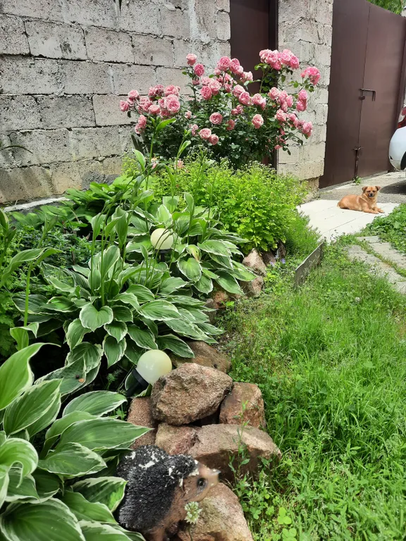 2х этажная часть дома с садом